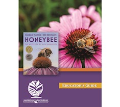 Honeybee Educator's Guide